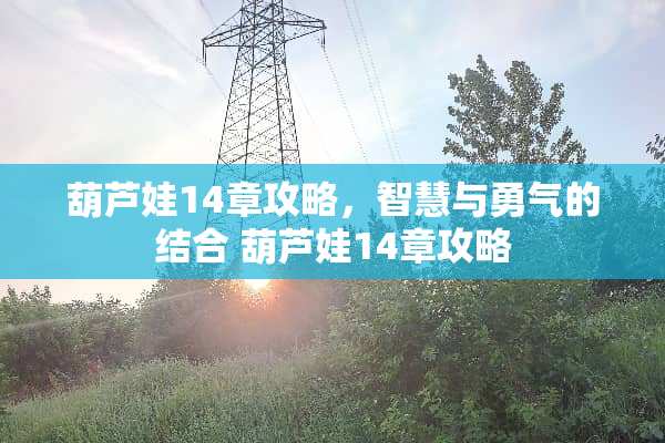 葫芦娃14章攻略，智慧与勇气的结合 葫芦娃14章攻略