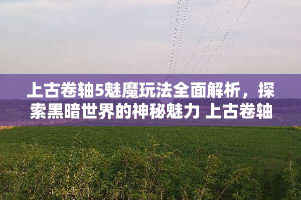 上古卷轴5魅魔玩法全面解析，探索黑暗世界的神秘魅力 上古卷轴5魅魔玩法介绍