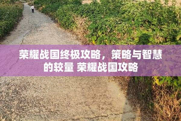荣耀战国终极攻略，策略与智慧的较量 荣耀战国攻略