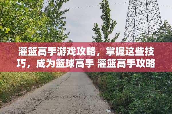 灌篮高手游戏攻略，掌握这些技巧，成为篮球高手 灌篮高手攻略