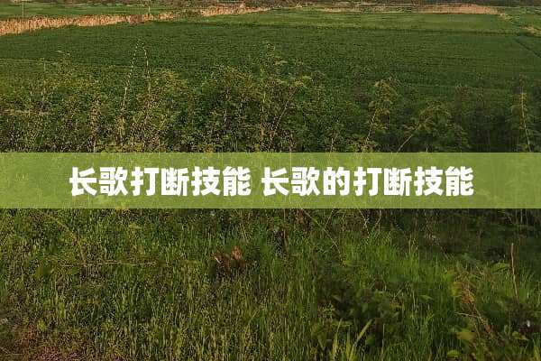 长歌打断技能 长歌的打断技能