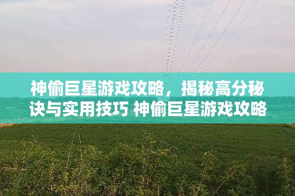神偷巨星游戏攻略，揭秘高分秘诀与实用技巧 神偷巨星游戏攻略