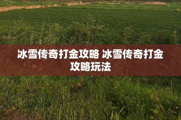 冰雪传奇打金攻略 冰雪传奇打金攻略玩法