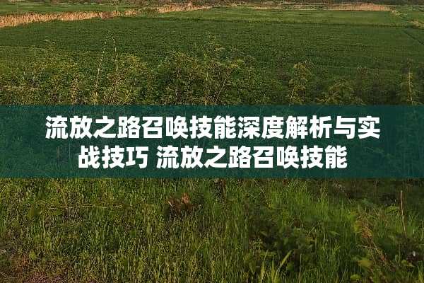 流放之路召唤技能深度解析与实战技巧 流放之路召唤技能