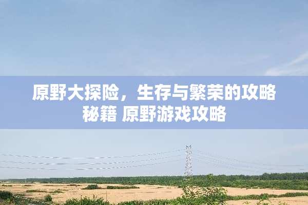 原野大探险，生存与繁荣的攻略秘籍 原野游戏攻略