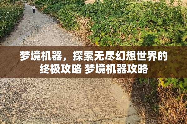 梦境机器，探索无尽幻想世界的终极攻略 梦境机器攻略