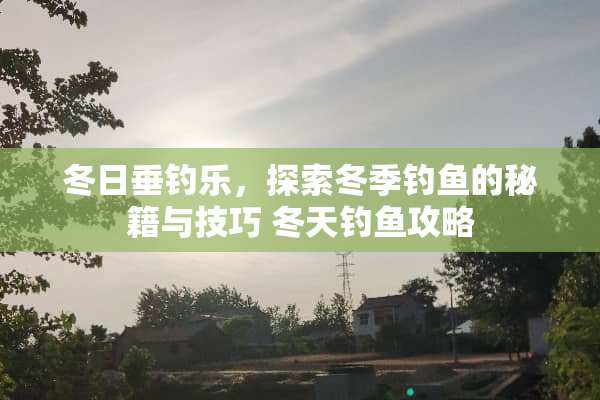 冬日垂钓乐，探索冬季钓鱼的秘籍与技巧 冬天钓鱼攻略