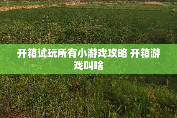 开箱试玩所有小游戏攻略 开箱游戏叫啥