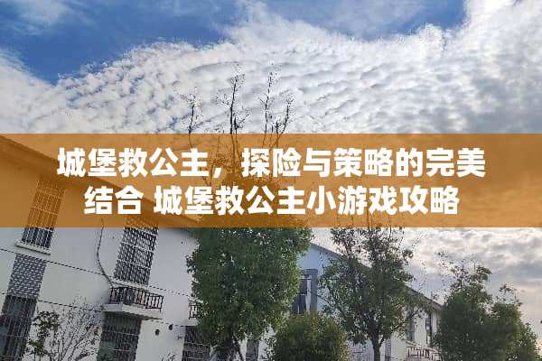 城堡救公主，探险与策略的完美结合 城堡救公主小游戏攻略
