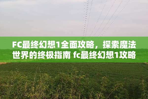 FC最终幻想1全面攻略，探索魔法世界的终极指南 fc最终幻想1攻略
