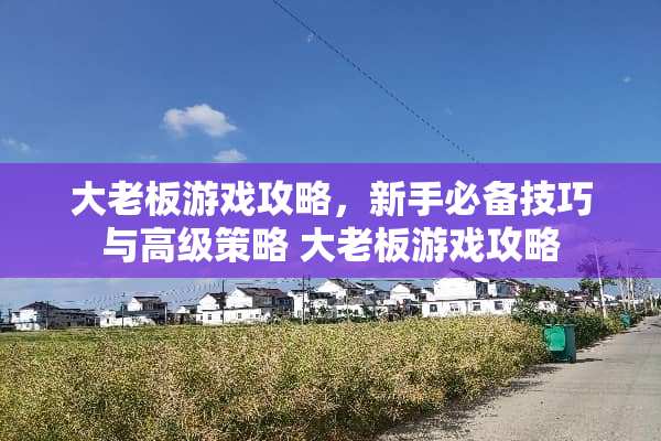 大老板游戏攻略，新手必备技巧与高级策略 大老板游戏攻略