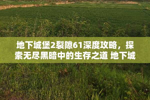 **城堡2裂隙61深度攻略，探索无尽黑暗中的生存之道**城堡2裂隙61攻略