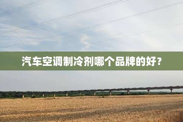 汽车空调制冷剂哪个品牌的好？