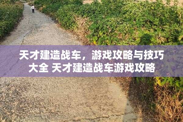 天才建造战车，游戏攻略与技巧大全 天才建造战车游戏攻略