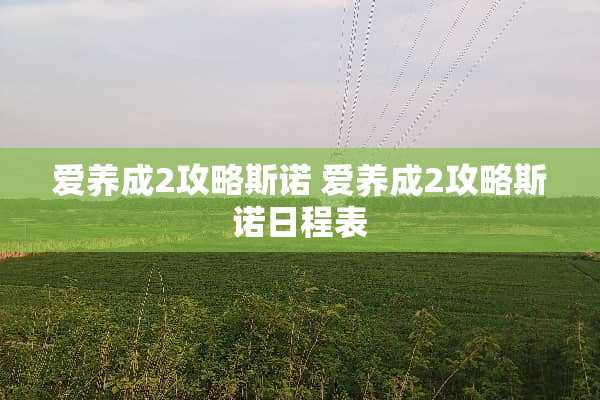 爱养成2攻略** 爱养成2攻略**日程表