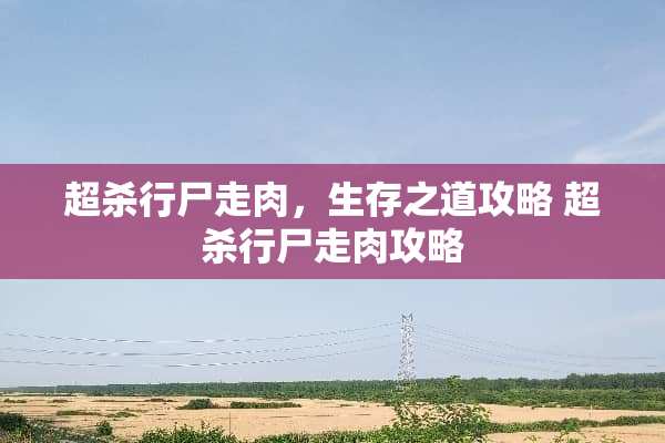 超杀行尸走肉，生存之道攻略 超杀行尸走肉攻略