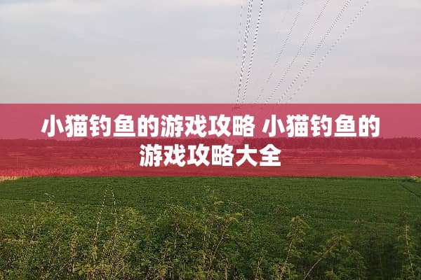 小猫钓鱼的游戏攻略 小猫钓鱼的游戏攻略大全