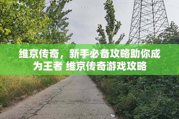 维京传奇，新手必备攻略助你成为王者 维京传奇游戏攻略