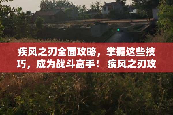 疾风之刃全面攻略，掌握这些技巧，成为战斗高手！ 疾风之刃攻略