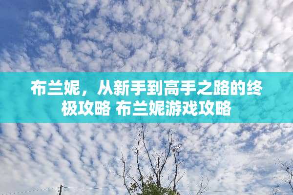 布兰妮，从新手到高手之路的终极攻略 布兰妮游戏攻略
