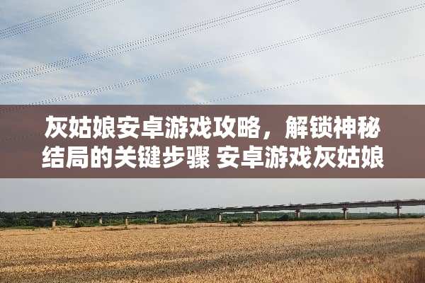 灰姑娘安卓游戏攻略，解锁神秘结局的关键步骤 安卓游戏灰姑娘攻略