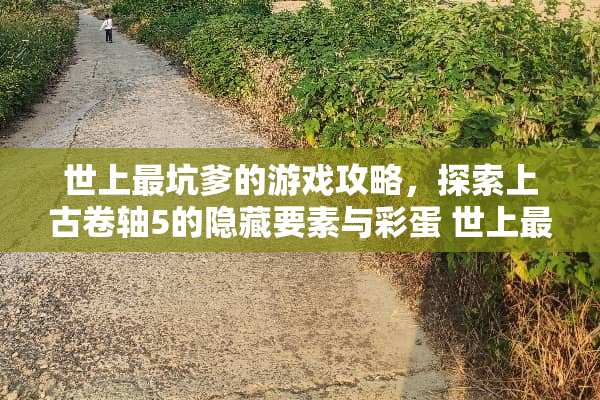 世上最坑爹的游戏攻略，探索上古卷轴5的隐藏要素与彩蛋 世上最坑爹的游戏攻略5
