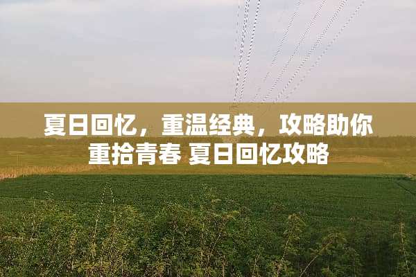 夏日回忆，重温经典，攻略助你重拾青春 夏日回忆攻略