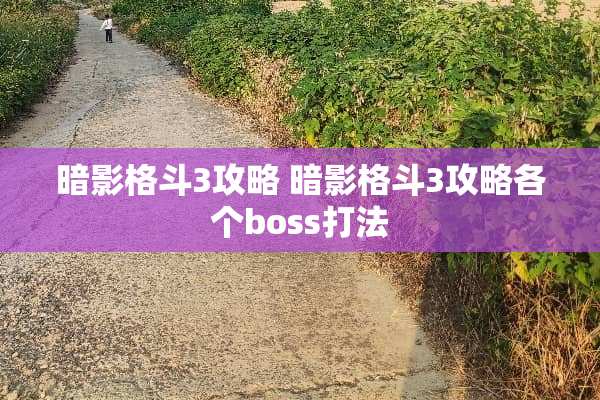 暗影格斗3攻略 暗影格斗3攻略各个boss打法