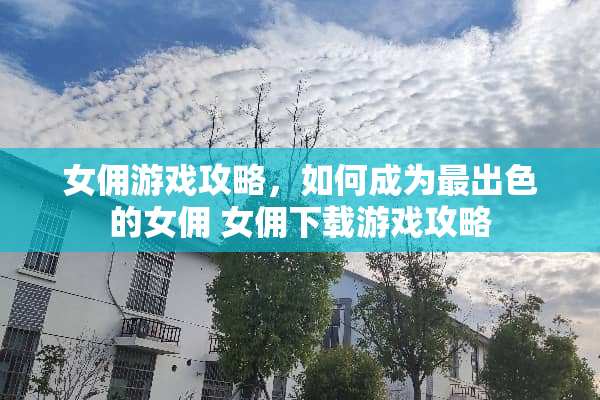 女佣游戏攻略，如何成为最出色的女佣 女佣下载游戏攻略