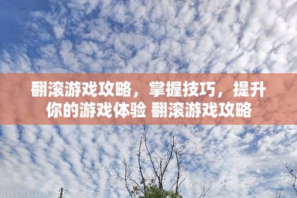 翻滚游戏攻略，掌握技巧，提升你的游戏体验 翻滚游戏攻略