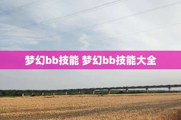 梦幻bb技能 梦幻bb技能大全