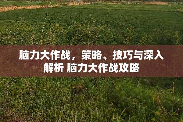脑力大作战，策略、技巧与深入解析 脑力大作战攻略