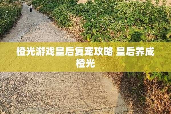 橙光游戏皇后复宠攻略 皇后养成橙光