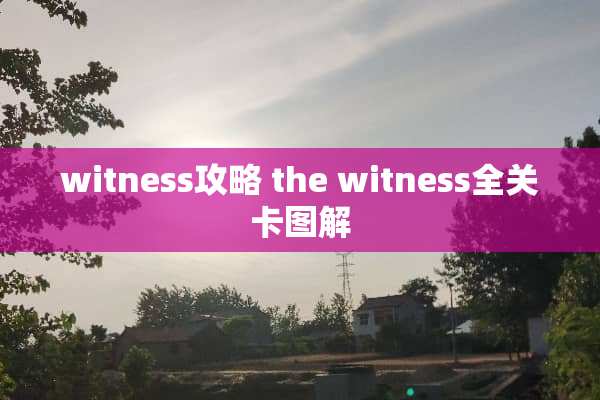 witness攻略 the witness全关卡图解