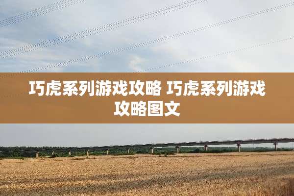 巧虎系列游戏攻略 巧虎系列游戏攻略图文