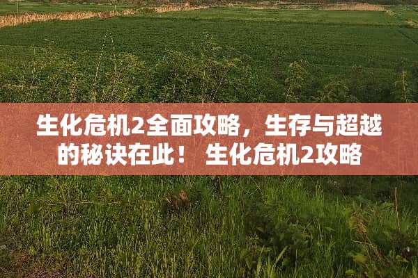 生化危机2全面攻略，生存与超越的秘诀在此！ 生化危机2攻略