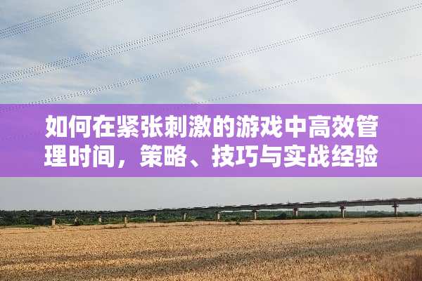 如何在紧张**的游戏中高效管理时间，策略、技巧与实战经验分享 时间管理技能