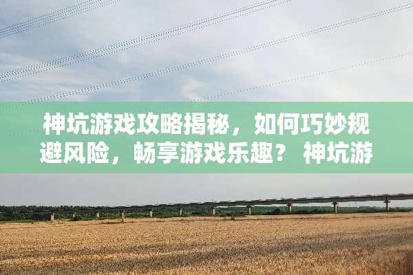 神坑游戏攻略揭秘，如何巧妙规避风险，畅享游戏乐趣？ 神坑游戏攻略