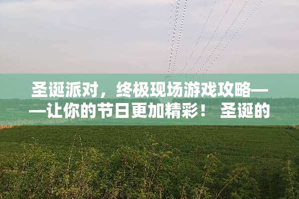 圣诞派对，终极现场游戏攻略——让你的节日更加精彩！ 圣诞的现场游戏攻略