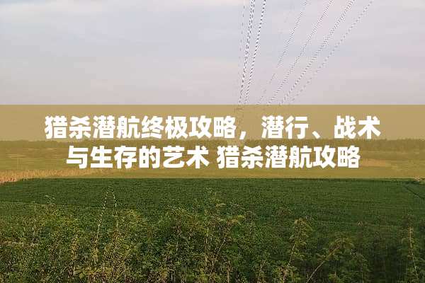 猎杀潜航终极攻略，潜行、战术与生存的艺术 猎杀潜航攻略