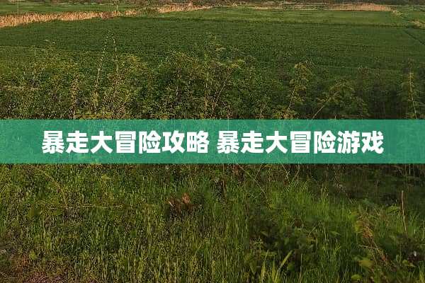暴走大冒险攻略 暴走大冒险游戏