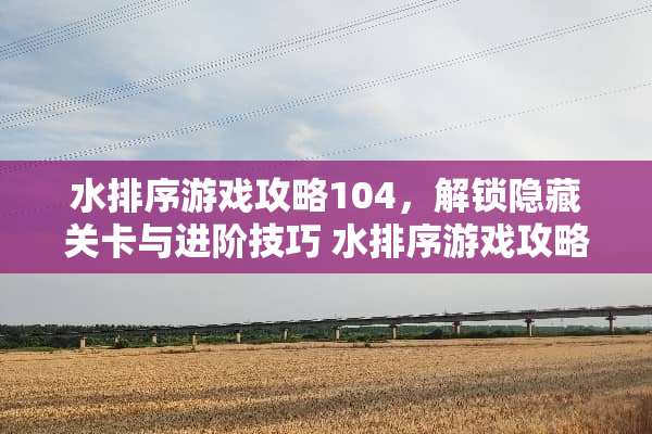 水排序游戏攻略104，解锁隐藏关卡与进阶技巧 水排序游戏攻略104