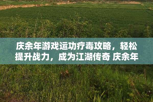 庆余年游戏运功疗毒攻略，轻松提升战力，成为江湖传奇 庆余年游戏运功疗毒攻略