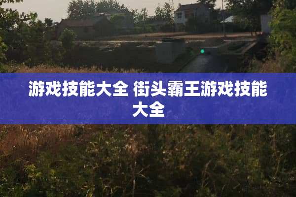 游戏技能大全 街头**游戏技能大全