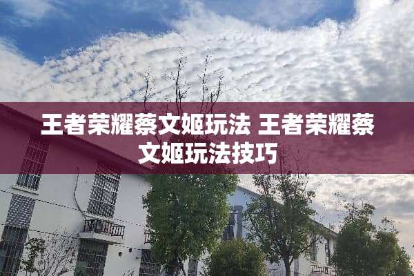 王者荣耀蔡文姬玩法 王者荣耀蔡文姬玩法技巧
