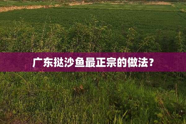 广东挞沙鱼最正宗的做法？