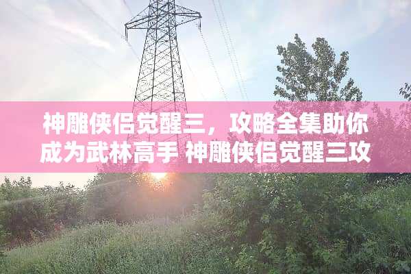 神雕侠侣觉醒三，攻略全集助你成为武林高手 神雕侠侣觉醒三攻略