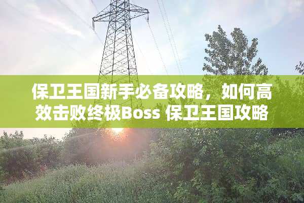 保卫王国新手必备攻略，如何高效击败终极Boss 保卫王国攻略