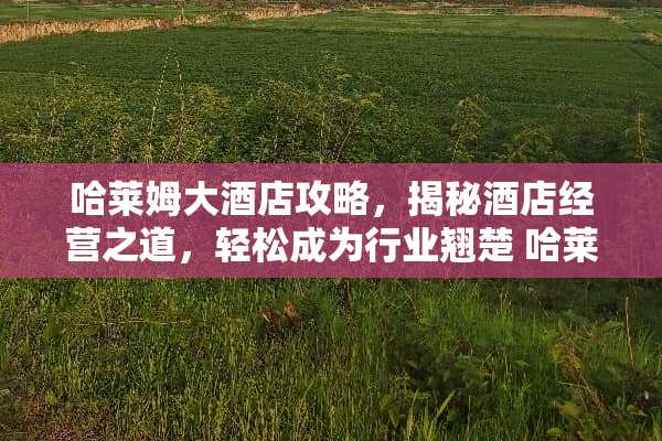 哈莱姆大酒店攻略，揭秘酒店经营之道，轻松成为行业翘楚 哈莱姆大酒店攻略游戏