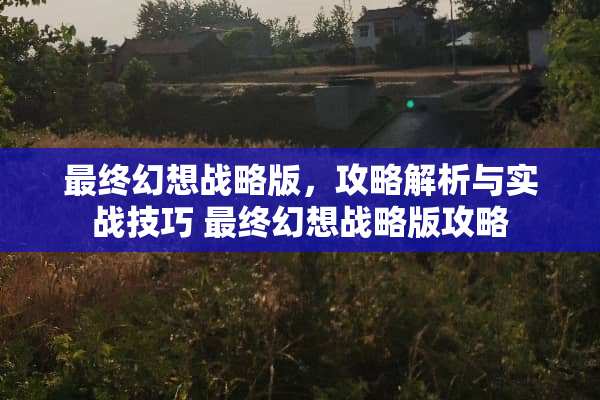 最终幻想战略版，攻略解析与实战技巧 最终幻想战略版攻略